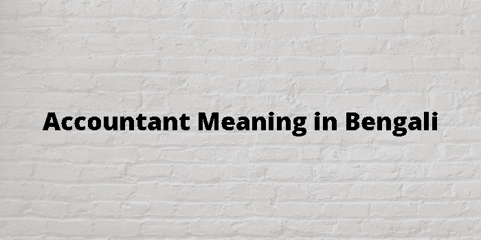 accountant-meaning-in-bengali