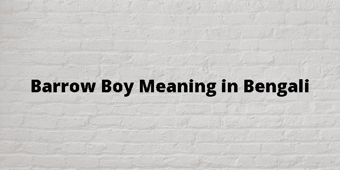 Barrow Boy Meaning In Bengali