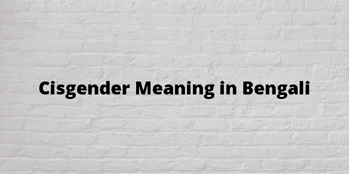 cisgender-meaning-in-bengali