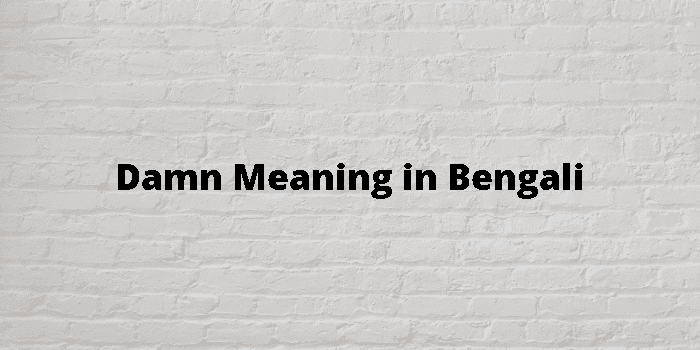 damn - Bengali Meaning - damn Meaning in Bengali at