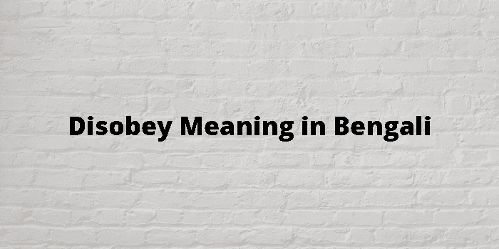Disobey Meaning In Bengali 