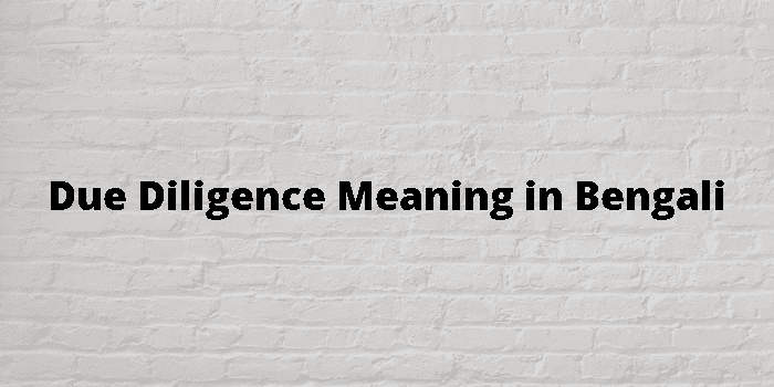 due-diligence-meaning-in-bengali