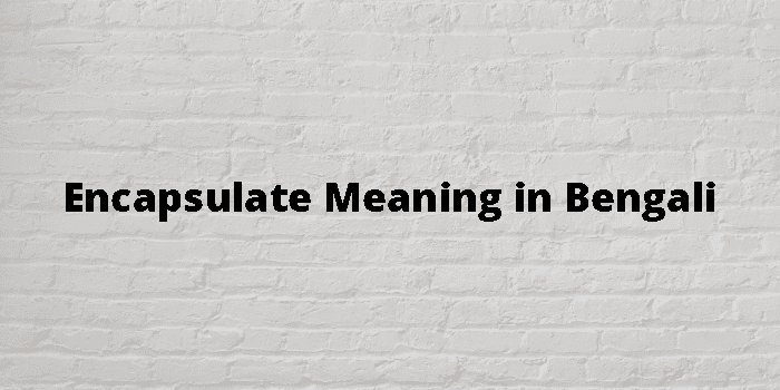 encapsulate-meaning-in-bengali