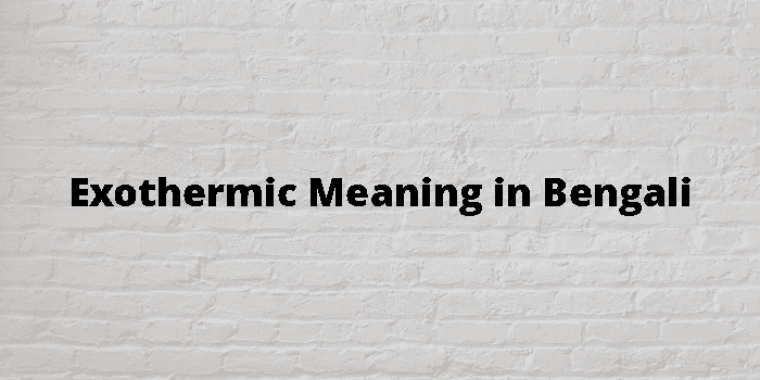 exothermic-meaning-in-bengali