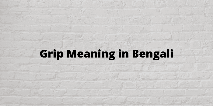 grip-meaning-in-bengali