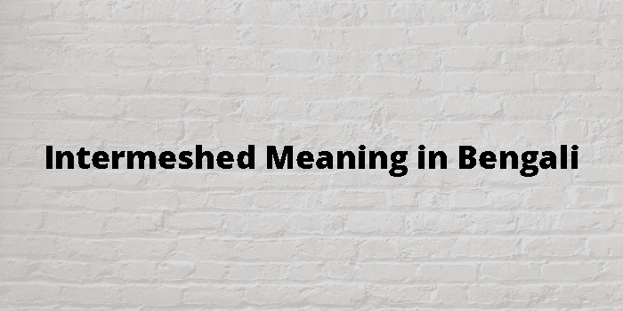 intermeshed-meaning-in-bengali