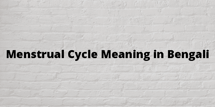 menstrual-cycle-meaning-in-bengali