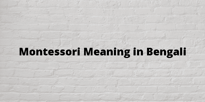 montessori-meaning-in-bengali