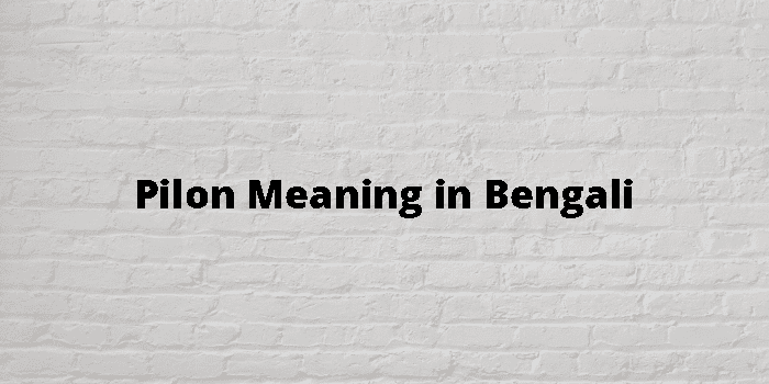 Pilon Meaning In Bengali - বাংলা অর্থ