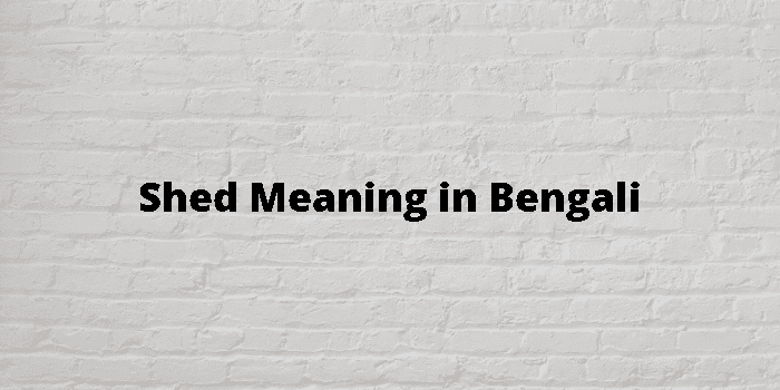 Shed Meaning in Bengali, Shed শব্দের বাংলা অর্থ কি?