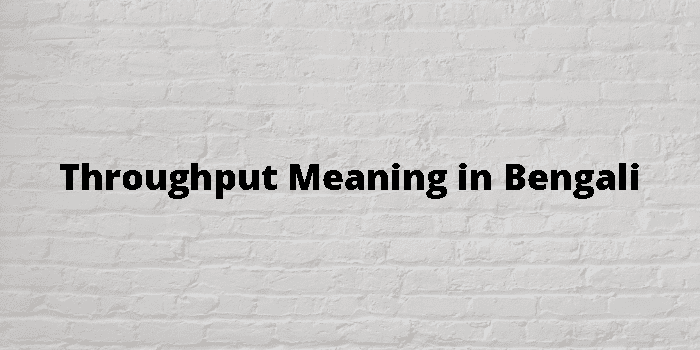 throughput-meaning-in-bengali