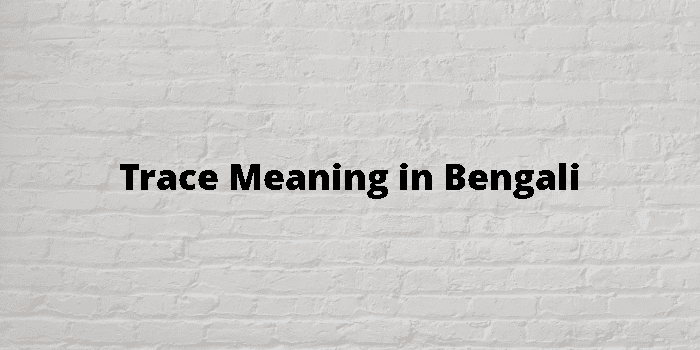 trace - Bengali Meaning - trace Meaning in Bengali at