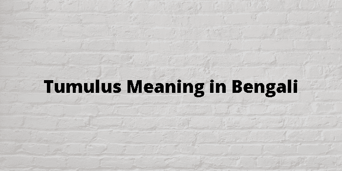 Tumulus Meaning In Bengali