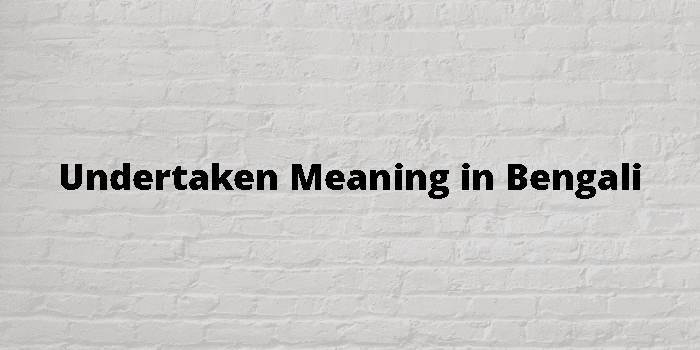 Undertaken Meaning In Bengali - বাংলা অর্থ
