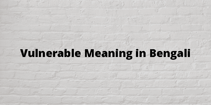 vulnerable-meaning-in-bengali