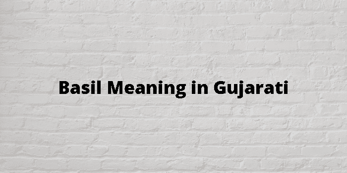 Basil Meaning In Gujarati