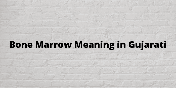 Bone Marrow Meaning In Gujarati