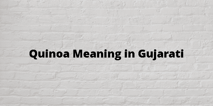 quinoa-meaning-in-gujarati