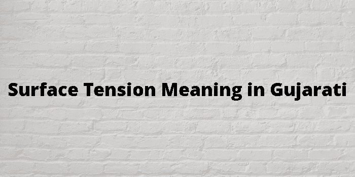 surface-tension-meaning-in-gujarati