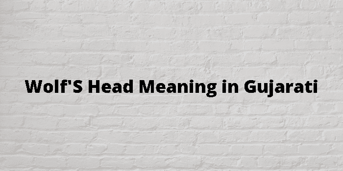 wolf-s-head-meaning-in-gujarati