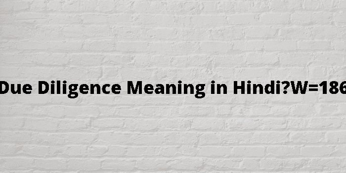  Due Diligence Meaning In Hindi 