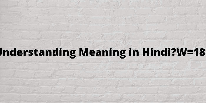 Understanding Meaning In Hindi 