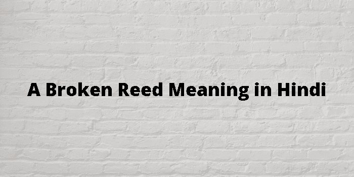 a-broken-reed-meaning-in-hindi