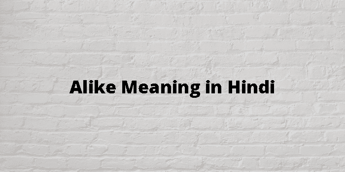 Alike Meaning In Hindi - हिंदी अर्थ