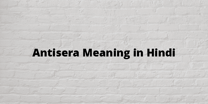 Antisera Meaning In Hindi - हिंदी अर्थ