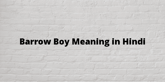 Barrow Boy Meaning In Hindi