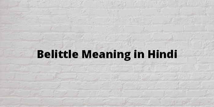 Belittle Meaning In Hindi - हिंदी अर्थ