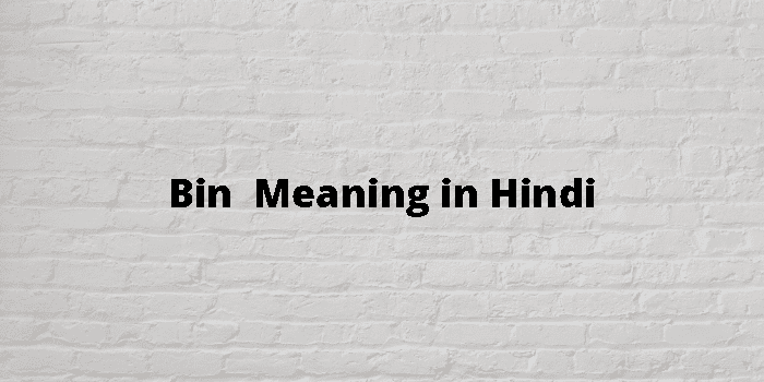 bin-meaning-in-hindi