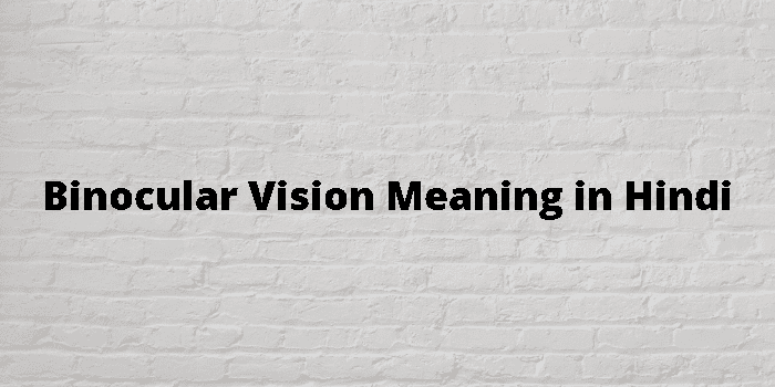 Binocular Vision Meaning In Hindi