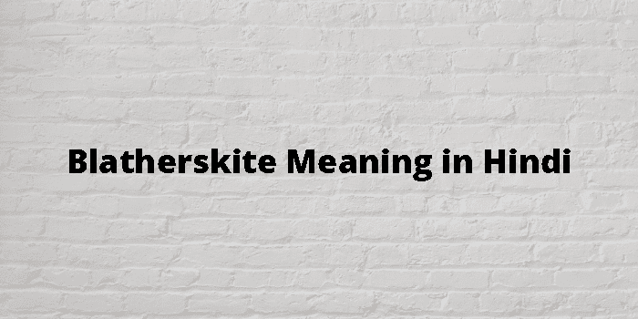 Blatherskite Meaning In Hindi - हिंदी अर्थ