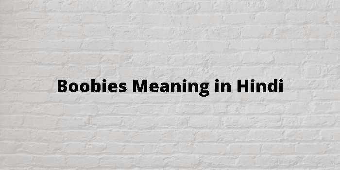 Boobies Meaning In Hindi - हिंदी अर्थ