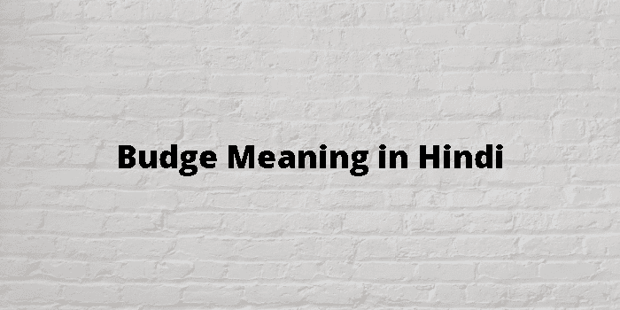 Budge Meaning In Hindi - हिंदी अर्थ