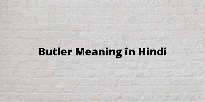Butler Meaning In Hindi - हिंदी अर्थ