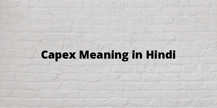 capex-meaning-in-hindi