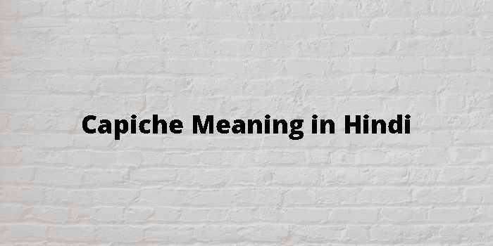 Capiche Meaning In Hindi - हिंदी अर्थ