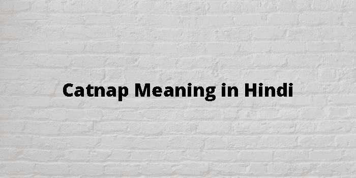 catnap-meaning-in-hindi