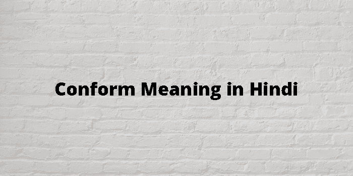 Conform Meaning In Hindi - हिंदी अर्थ