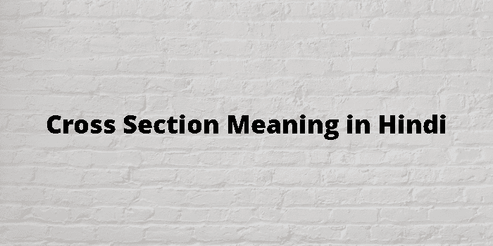 cross-section-meaning-in-hindi