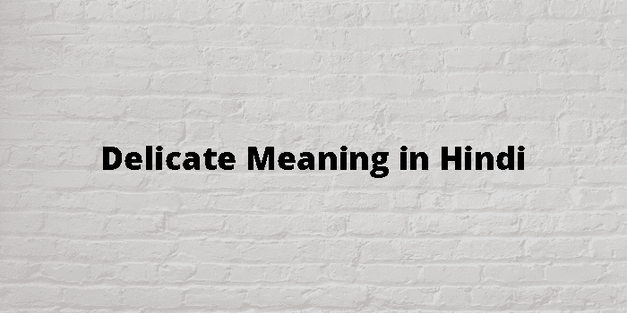 Delicate Meaning In Hindi - हिंदी अर्थ