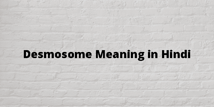 Desmosome Meaning In Hindi - हिंदी अर्थ