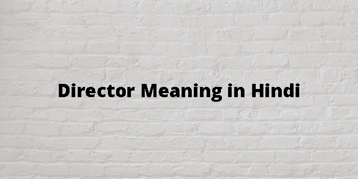 DIRECTOR OF ELEMENTARY EDUCATION MEANING IN HINDI visual data 3