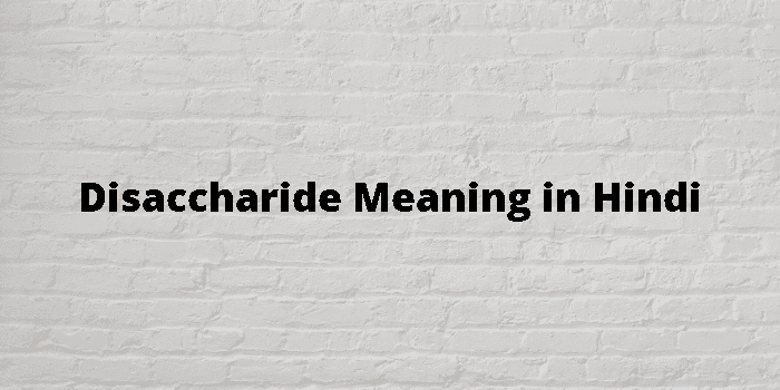 disaccharide-meaning-in-hindi