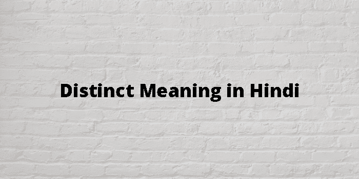 distinct-meaning-in-hindi