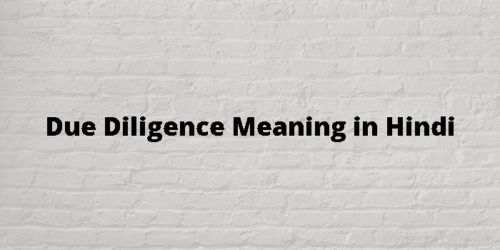 due-diligence-meaning-in-hindi