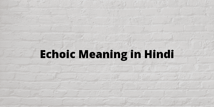 echoic-meaning-in-hindi