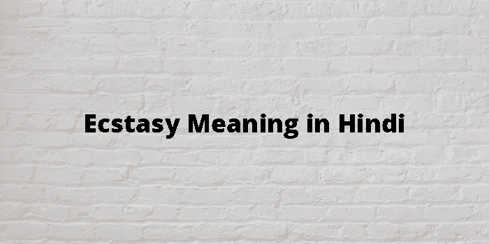 Ecstasy Meaning In Hindi - हिंदी अर्थ